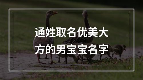 通姓取名优美大方的男宝宝名字