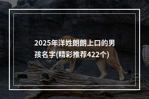 2025年洋姓朗朗上口的男孩名字(精彩推荐422个)