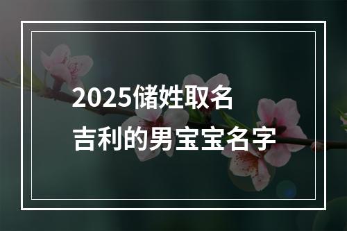 2025储姓取名吉利的男宝宝名字