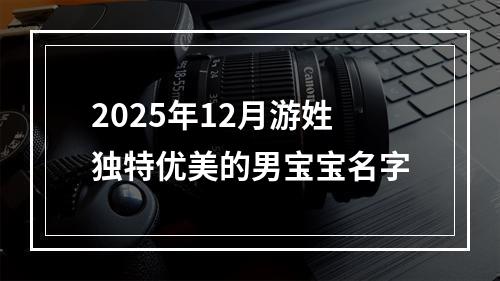 2025年12月游姓独特优美的男宝宝名字