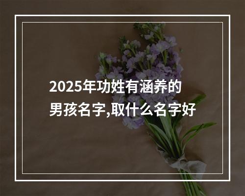 2025年功姓有涵养的男孩名字,取什么名字好