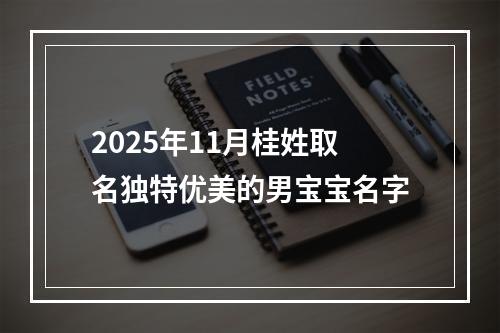 2025年11月桂姓取名独特优美的男宝宝名字