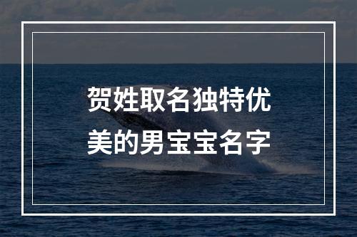 贺姓取名独特优美的男宝宝名字