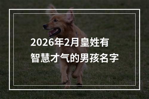 2026年2月皇姓有智慧才气的男孩名字