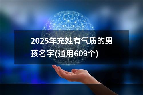 2025年充姓有气质的男孩名字(通用609个)