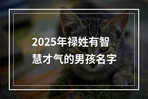 2025年禄姓有智慧才气的男孩名字