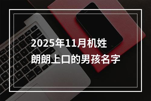 2025年11月机姓朗朗上口的男孩名字