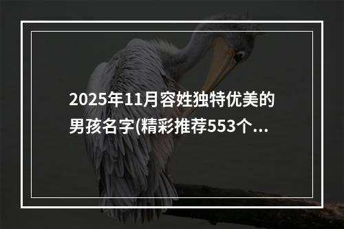 2025年11月容姓独特优美的男孩名字(精彩推荐553个)