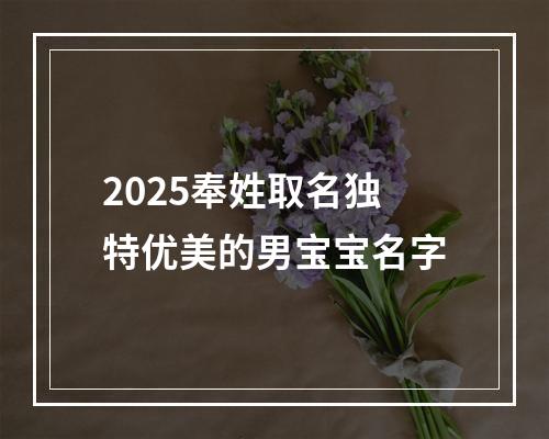 2025奉姓取名独特优美的男宝宝名字