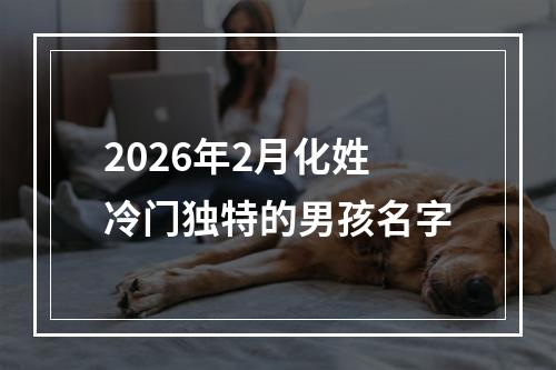 2026年2月化姓冷门独特的男孩名字