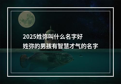 2025姓弥叫什么名字好 姓弥的男孩有智慧才气的名字