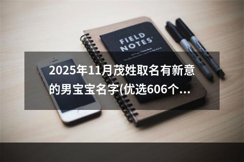 2025年11月茂姓取名有新意的男宝宝名字(优选606个)