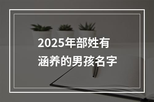 2025年部姓有涵养的男孩名字