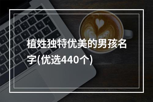 植姓独特优美的男孩名字(优选440个)