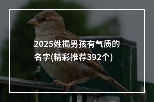 2025姓揭男孩有气质的名字(精彩推荐392个)