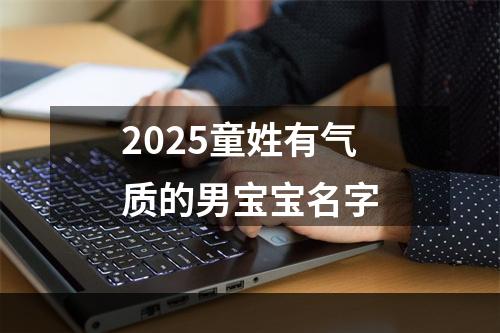 2025童姓有气质的男宝宝名字