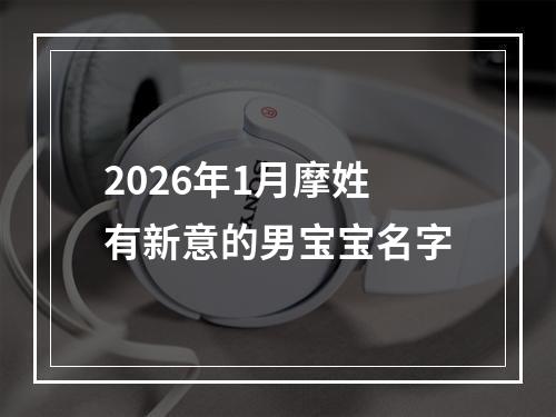 2026年1月摩姓有新意的男宝宝名字