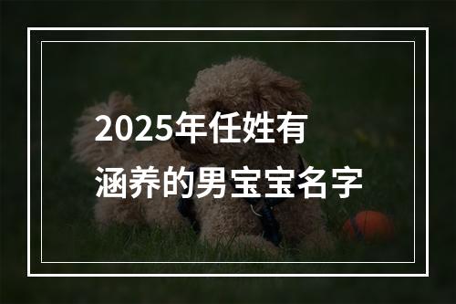 2025年任姓有涵养的男宝宝名字