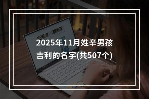 2025年11月姓辛男孩吉利的名字(共507个)