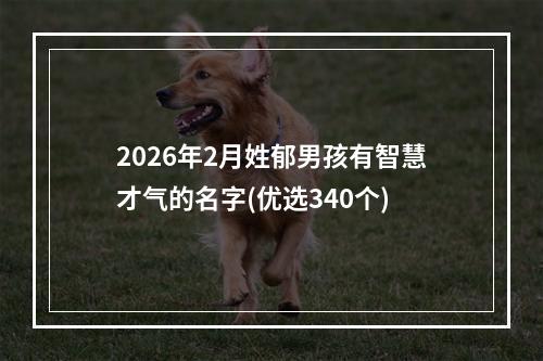 2026年2月姓郁男孩有智慧才气的名字(优选340个)