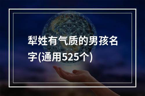 犁姓有气质的男孩名字(通用525个)