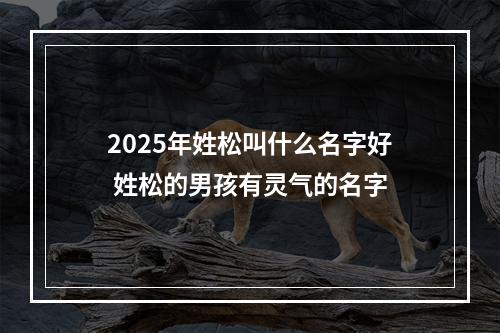 2025年姓松叫什么名字好 姓松的男孩有灵气的名字