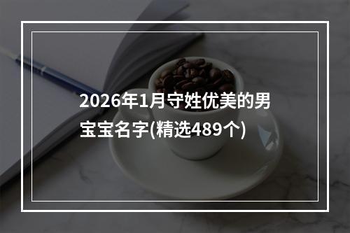 2026年1月守姓优美的男宝宝名字(精选489个)