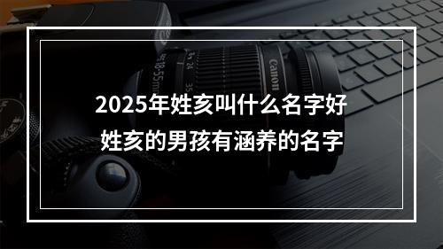2025年姓亥叫什么名字好 姓亥的男孩有涵养的名字
