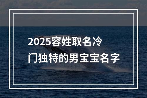 2025容姓取名冷门独特的男宝宝名字