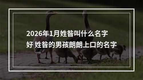 2026年1月姓昝叫什么名字好 姓昝的男孩朗朗上口的名字