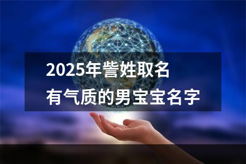 2025年訾姓取名有气质的男宝宝名字