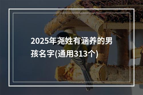 2025年尧姓有涵养的男孩名字(通用313个)