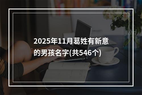 2025年11月葛姓有新意的男孩名字(共546个)