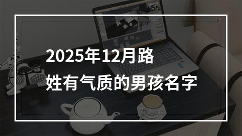 2025年12月路姓有气质的男孩名字