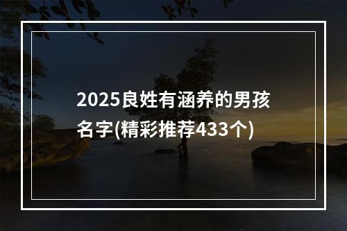 2025良姓有涵养的男孩名字(精彩推荐433个)