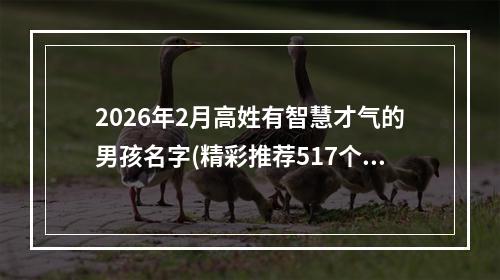 2026年2月高姓有智慧才气的男孩名字(精彩推荐517个)