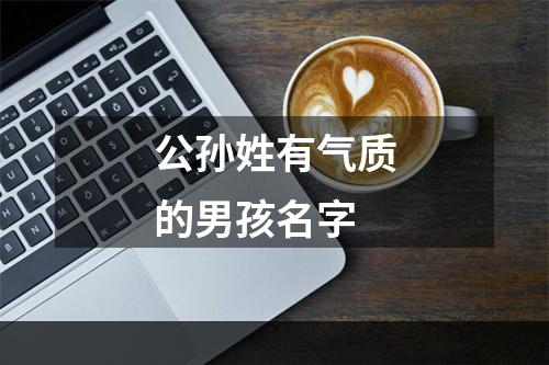 公孙姓有气质的男孩名字