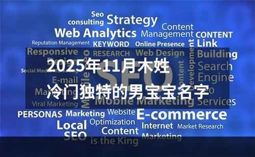 2025年11月木姓冷门独特的男宝宝名字