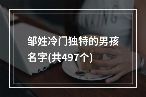 邹姓冷门独特的男孩名字(共497个)