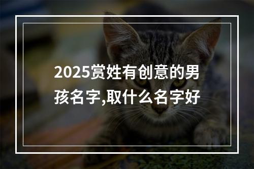 2025赏姓有创意的男孩名字,取什么名字好