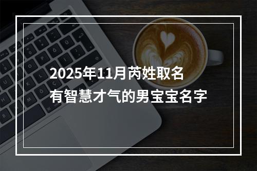 2025年11月芮姓取名有智慧才气的男宝宝名字