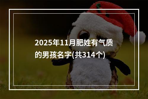 2025年11月肥姓有气质的男孩名字(共314个)