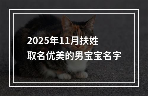2025年11月扶姓取名优美的男宝宝名字