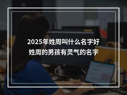 2025年姓周叫什么名字好 姓周的男孩有灵气的名字