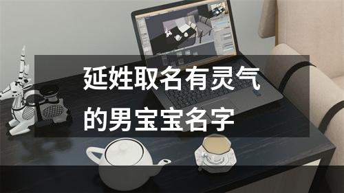 延姓取名有灵气的男宝宝名字