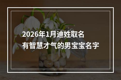 2026年1月迪姓取名有智慧才气的男宝宝名字