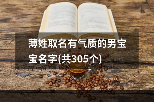 薄姓取名有气质的男宝宝名字(共305个)