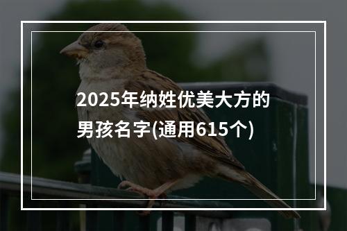 2025年纳姓优美大方的男孩名字(通用615个)