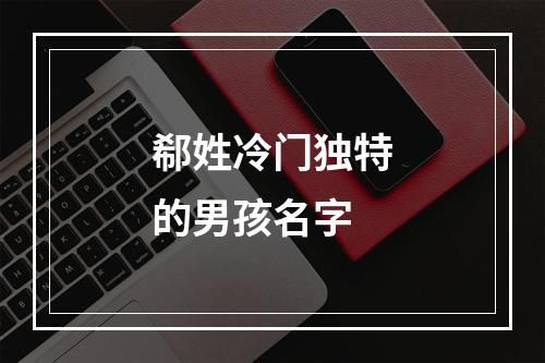 郗姓冷门独特的男孩名字