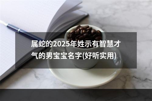 属蛇的2025年姓示有智慧才气的男宝宝名字(好听实用)